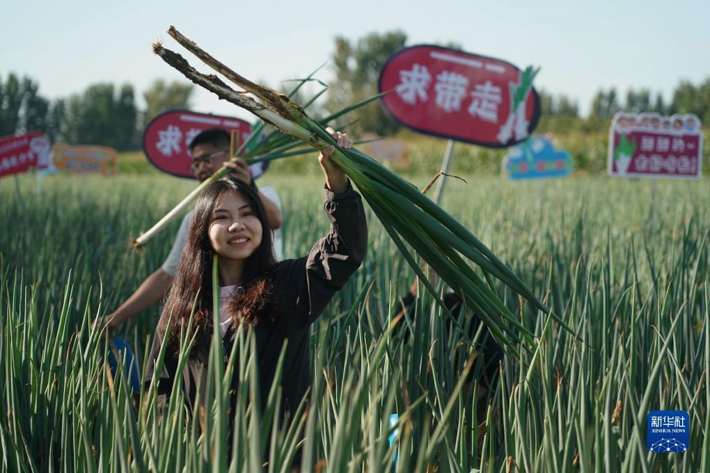 威尼斯游戏大全