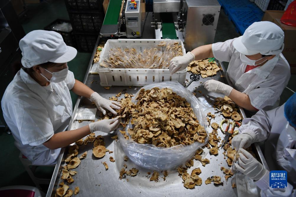 永利信誉网址
